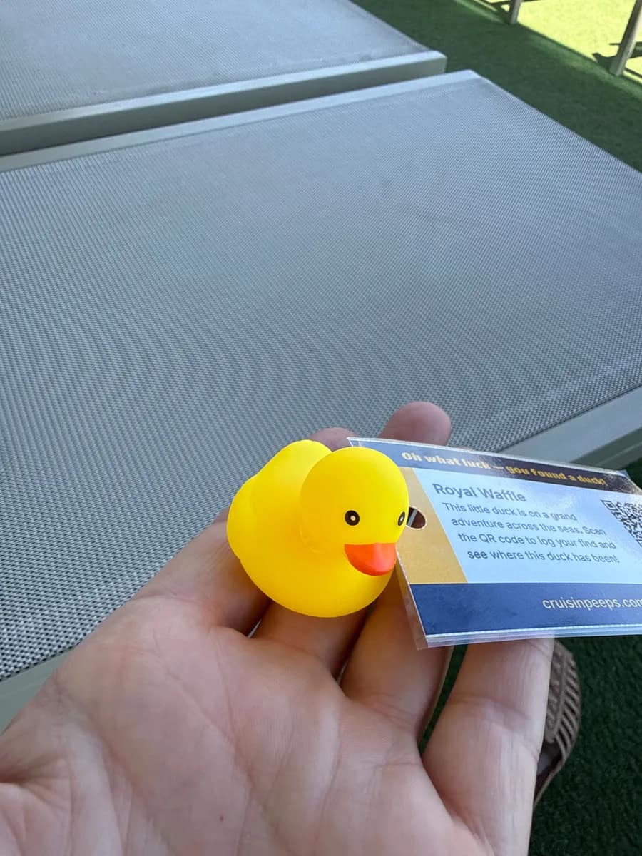Sighting by Ducky